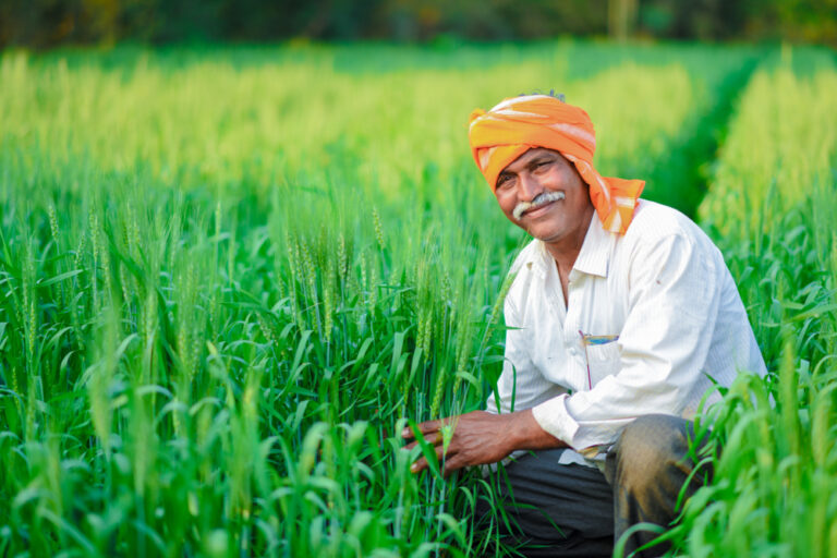 【インド】ウォルマートとフリップカート、流通ベンチャーNinjacartに追加出資。農家と店舗を直接繋ぐ