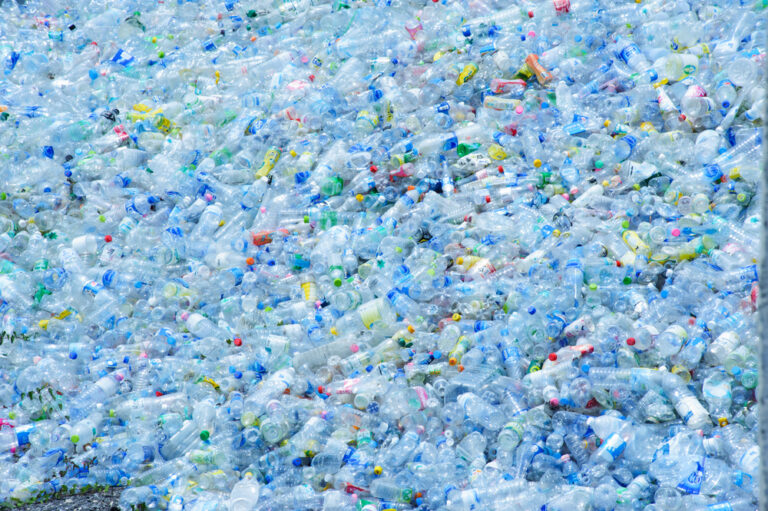 【アメリカ】2019年のPET素材リサイクル率は27.9%。輸出減で前年割れ。ボトルでのrPET使用は大幅増