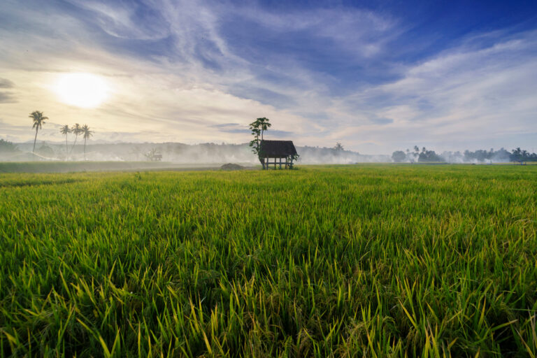 【国際】FAOとWFP、農業・食料システムの強化に向けパブコメ募集。FAOは欧州宇宙機関とも提携